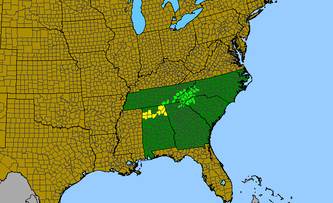 The range of Diervilla sessilifolia